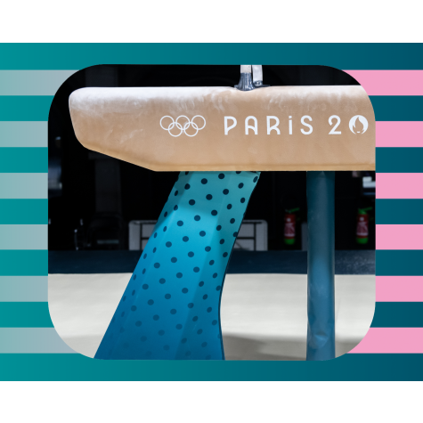 GUARDS FOR STANDARD POMMEL HORSES LEGS - PER PAIR - PARIS 2024 Requirements