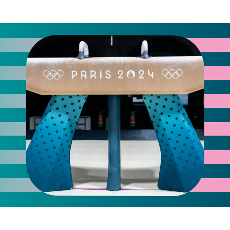 HORSE AND VAULTING TABLES CHAIN GUARD - PARIS 2024 Requirements